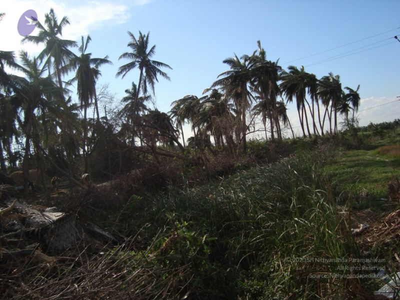 File:20120107 DSC02954 CMP WM-44001.jpg