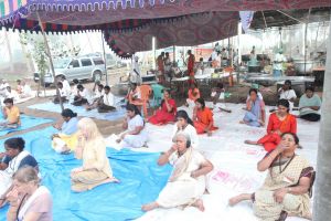 20120107 IMG 3488 CMP WM-1701.jpg