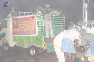 20120107 IMG 3852 CMP WM-0101.jpg