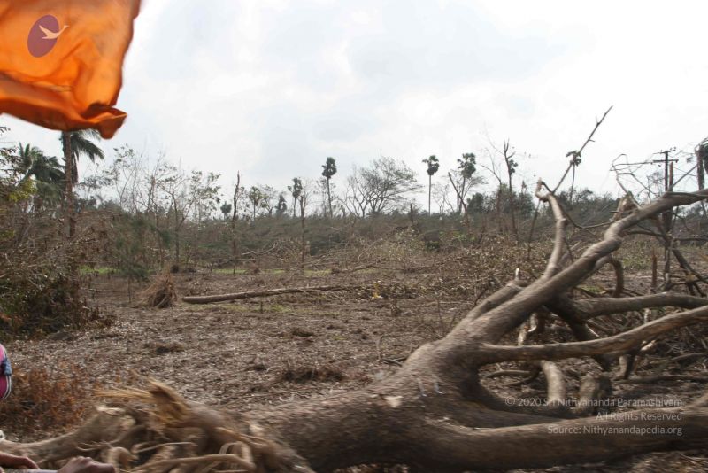 File:20120107 IMG 4035 CMP WM-4001.jpg