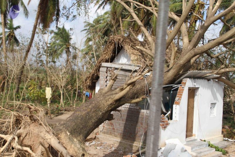 File:20120107 IMG 4037 CMP WM-4201.jpg