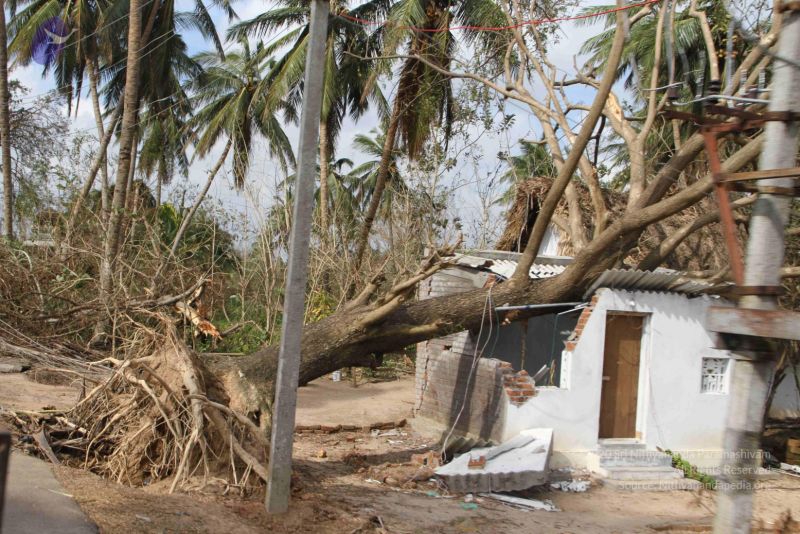 File:20120107 IMG 4038 CMP WM-4301.jpg