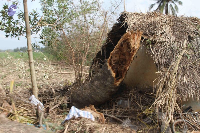 File:20120107 IMG 4041 CMP WM-4601.jpg