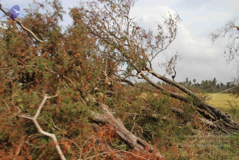 File:20120107 IMG 4049 CMP WM-4901.jpg