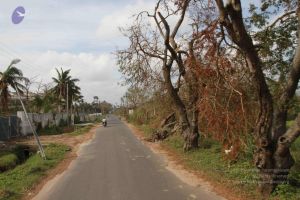 20120107 IMG 4050 CMP WM-5001.jpg