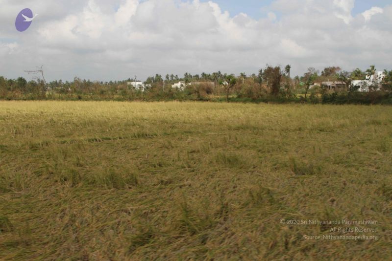 File:20120107 IMG 4051 CMP WM-5101.jpg