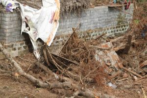 20120107 IMG 4055 CMP WM-5501.jpg