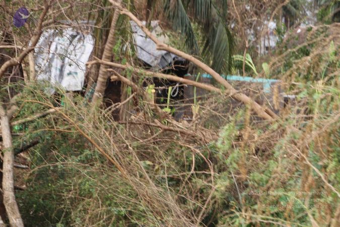 20120107 IMG 4059 CMP WM-5901.jpg