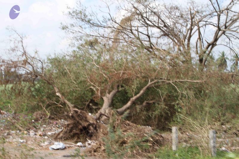 File:20120107 IMG 4061 CMP WM-6101.jpg