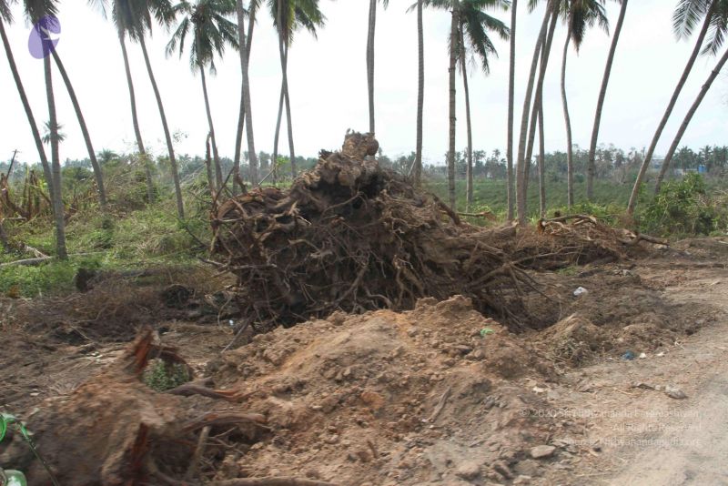 File:20120107 IMG 4066 CMP WM-6601.jpg