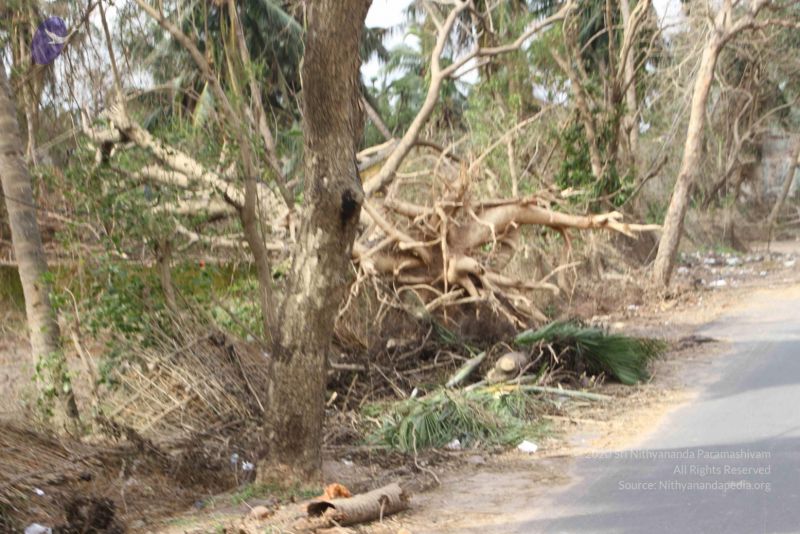 File:20120107 IMG 4070 CMP WM-6801.jpg