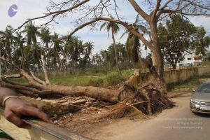 20120107 IMG 4071 CMP WM-6901.jpg