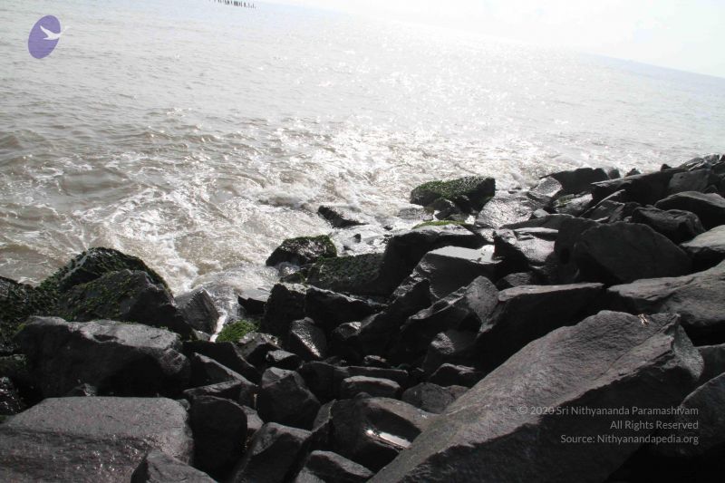 File:20120107 Photo 1038 1fKbfMYfU15iS5fGkM6kwYhhC9HPSI0qS.JPG