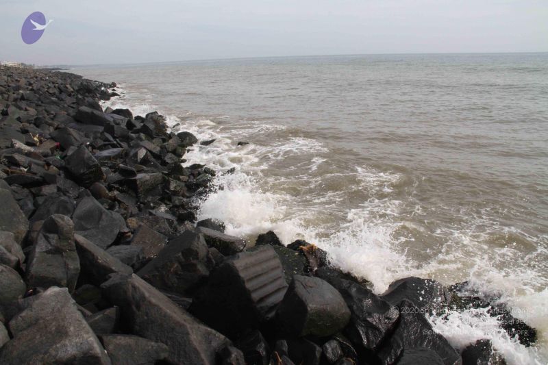 File:20120107 Photo 1039 1H M1DqB229l5sfGMTXyxVJODdR8 qX8W.JPG