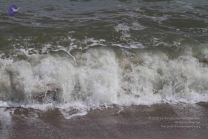 20120107 Photo 1084 15iYLbtviwtd91TKgfq4zBat 2jdhxJuV.JPG