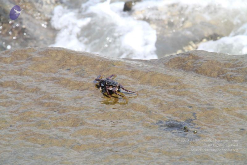 File:20120107 Photo 1099 186OzqlDR1Sda3 PHdCwL5pdnz5AX1gnK.JPG