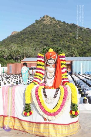 20120108 IMG 3787 CMP WM-3501.jpg