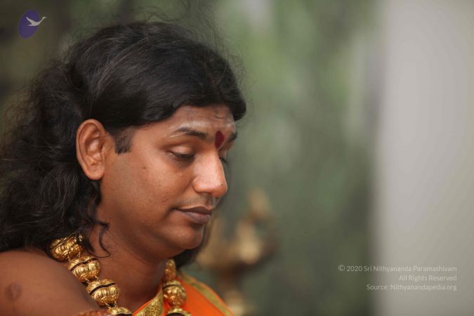 20120108 IMG 3910 CMP WM-8901.jpg