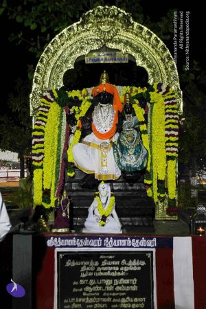 20120108 IMG 3954 CMP WM-12501.jpg