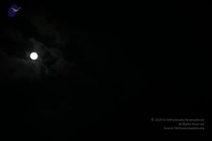 20120108 IMG 3961 CMP WM-13201.jpg