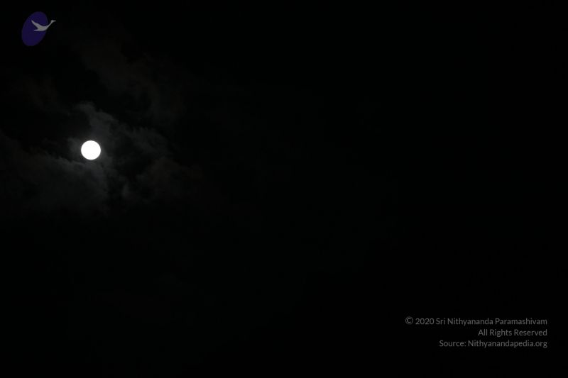 File:20120108 IMG 3961 CMP WM-13201.jpg