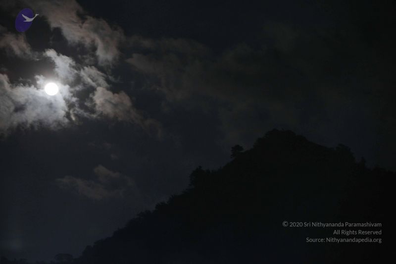 File:20120108 IMG 3962 CMP WM-13301.jpg