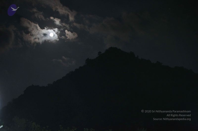 File:20120108 IMG 3963 CMP WM-13401.jpg