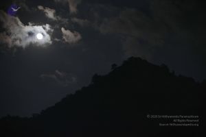 20120108 IMG 3964 CMP WM-13501.jpg