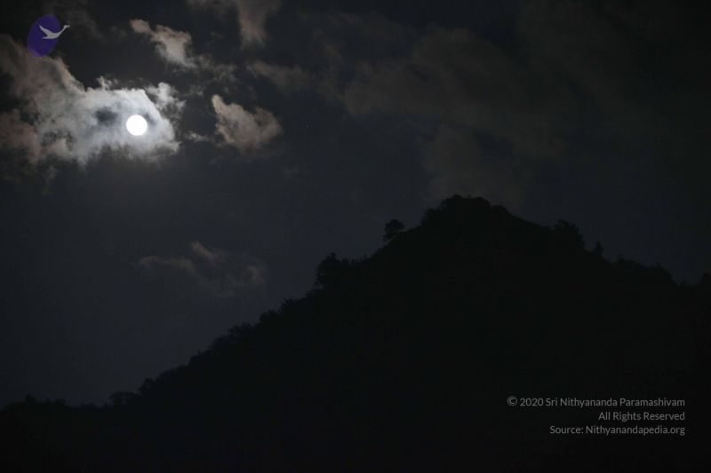 File:20120108 IMG 3964 CMP WM-13501.jpg