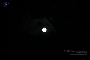 20120108 IMG 3965 CMP WM-13601.jpg