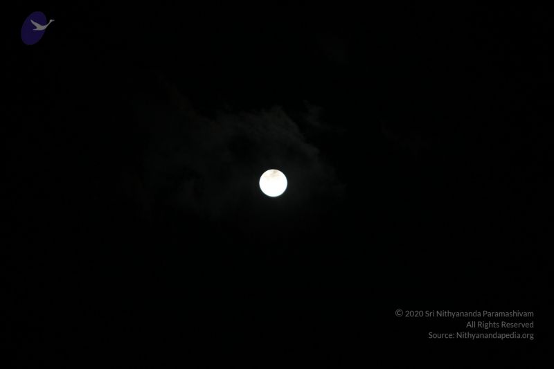 File:20120108 IMG 3965 CMP WM-13601.jpg