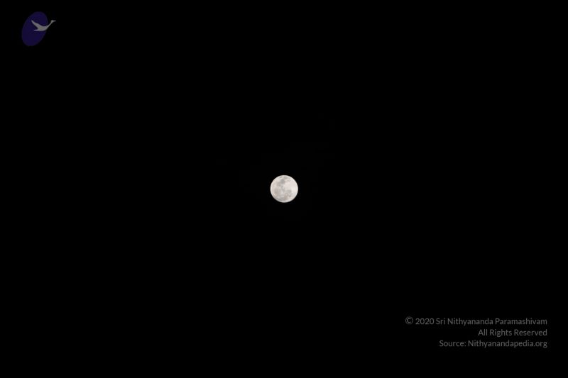 File:20120108 IMG 3967 CMP WM-13701.jpg