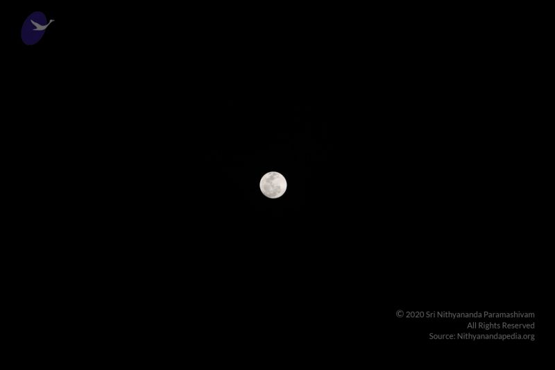 File:20120108 IMG 3968 CMP WM-13801.jpg