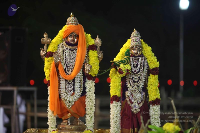 File:20120108 IMG 3970 CMP WM-14001.jpg