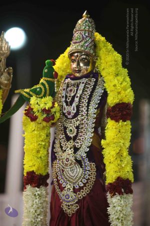 20120108 IMG 3986 CMP WM-1001.jpg