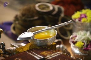 20120108 IMG 3989 CMP WM-1201.jpg