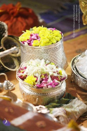 20120108 IMG 3992 CMP WM-1501.jpg