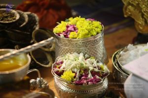 20120108 IMG 3993 CMP WM-1601.jpg