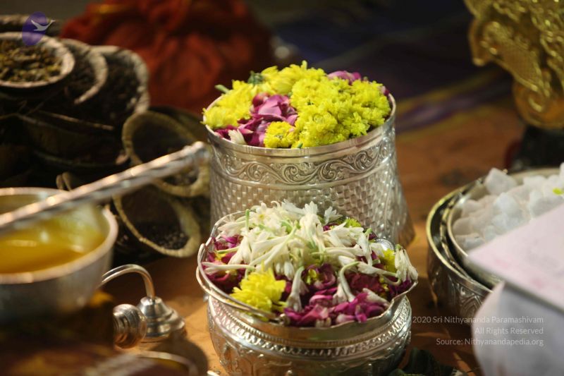 File:20120108 IMG 3993 CMP WM-1601.jpg