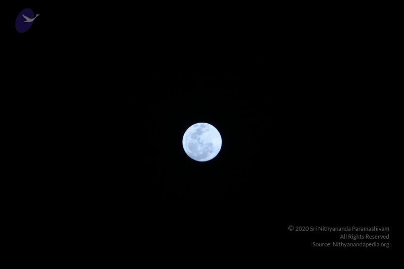 File:20120108 IMG 4280 CMP WM-25401.jpg