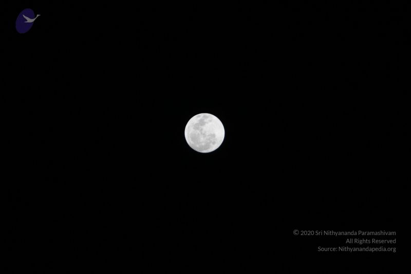 File:20120108 IMG 4283 CMP WM-25701.jpg