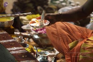 20120108 IMG 4362 CMP WM-2101.jpg