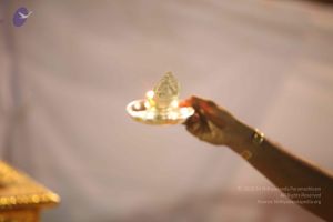 20120108 IMG 4363 CMP WM-2201.jpg