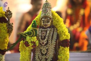 20120108 IMG 4383 CMP WM-4101.jpg