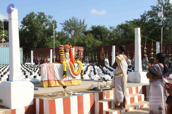 20120108 IMG 4386 CMP WM-3401.jpg