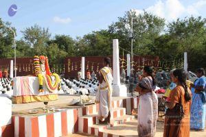 20120108 IMG 4387 CMP WM-3501.jpg