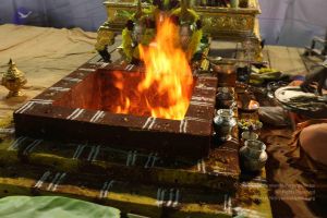 20120108 IMG 4422 CMP WM-7901.jpg