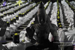 20120108 IMG 4505 CMP WM-11101.jpg