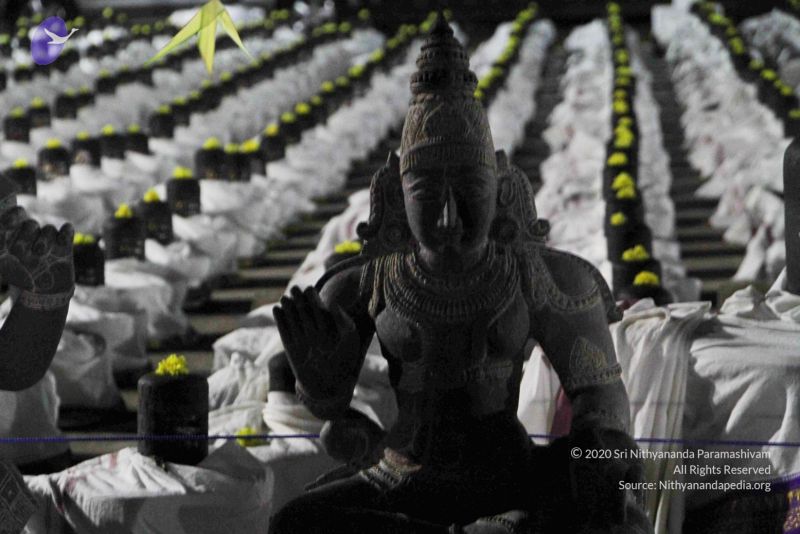 File:20120108 IMG 4505 CMP WM-11101.jpg