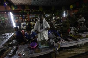 20120108 IMG 4516 CMP WM-16801.jpg